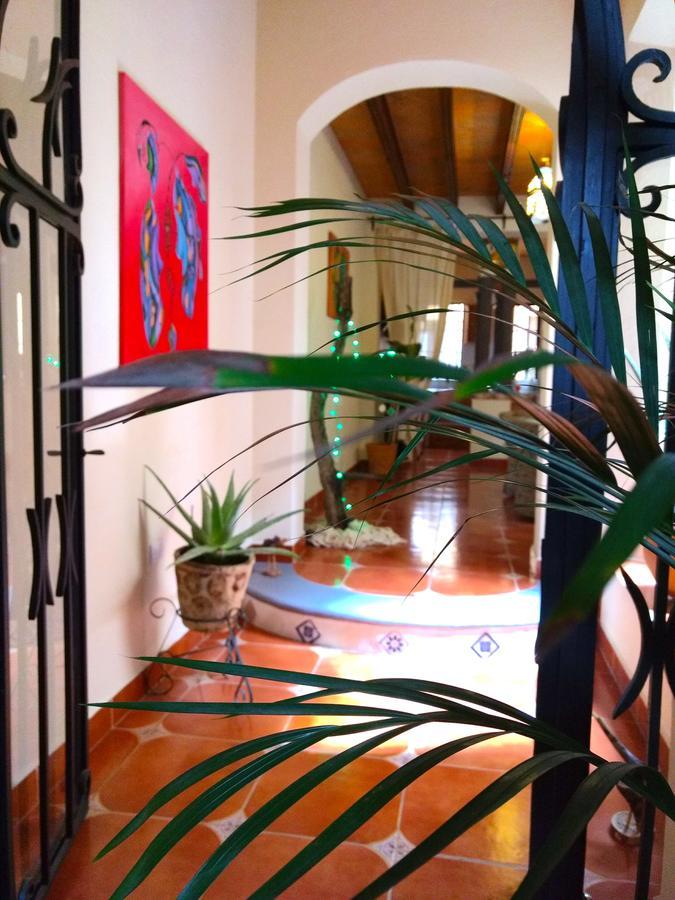 Posada Del Pozo Альенде Экстерьер фото